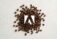 Adobe Live Oakstreet Coffee Brand Identity